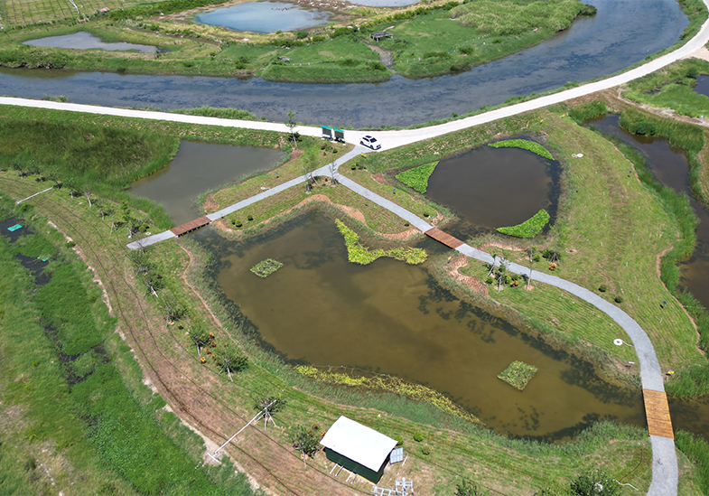 海南乐东县佛罗溪典型流域多污染源协同治理和退水k8凯发化利用试点示范项目