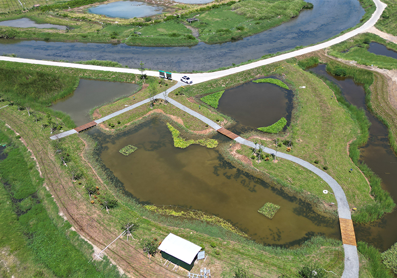 多污染源协同治理